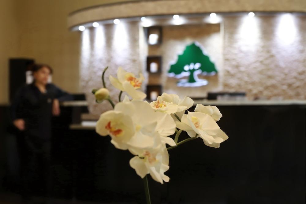 Red Roof Inn & Suites Longview Ngoại thất bức ảnh